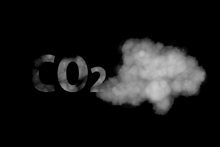 Règles et principes de la compensation carbone ?
