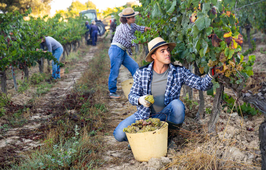 Quels sont les avantages de l'agriculture biodynamique ?